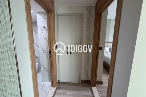 1 bedroom Apartment in Park Island, UAE No. 184597 10