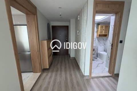 1 bedroom Apartment in Park Island, UAE No. 184597 22