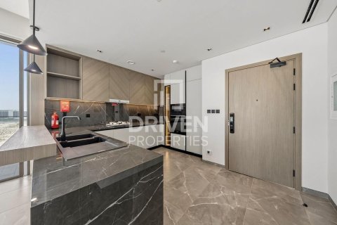 2 bedrooms Apartment in Dubai, UAE No. 212617 6