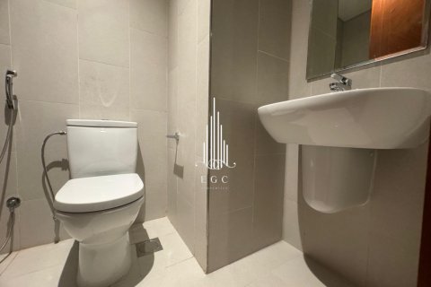 2 bedrooms Apartment in Tourist Club Area, UAE No. 29157 21