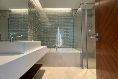 2 bedrooms Apartment in Tourist Club Area, UAE No. 29157 22