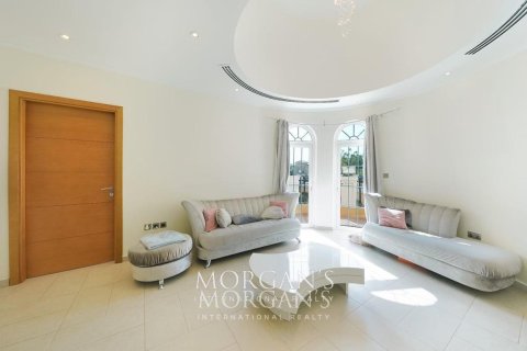 5 غرفة نوم فيلا في Jumeirah Park, الإمارات العربية المتحدة رقم 76844 12