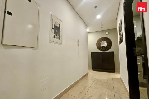 Apartment de 2 dormitorios en Downtown Dubai (Downtown Burj Dubai), UAE No. 205827 14