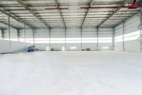 Warehouse de 6503.2m² à Jebel Ali, UAE No. 47602 3