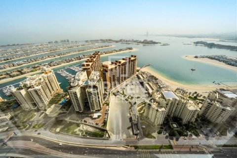 Studio Apartment in The Palm Tower, UAE No. 212582 11