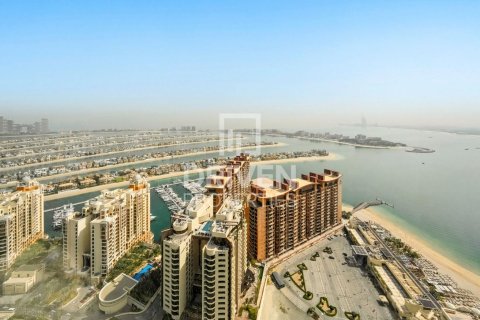Studio Apartment in The Palm Tower, UAE No. 212582 12