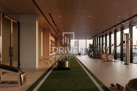 1 bedroom Apartment in Al Barari, UAE No. 221025 27