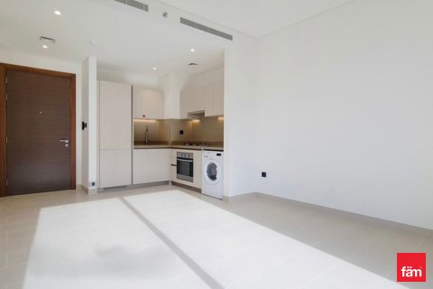 Appartement de 1 chambre à Dubai, UAE No. 216262 2