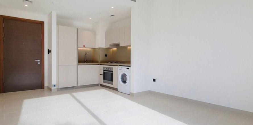 Appartement de 1 chambre à Dubai, UAE No. 216262