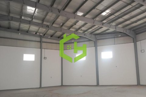 1021.9مربع، مستودع في الخوانيج, الإمارات العربية المتحدة رقم 36253 6