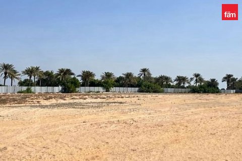 2947.1m² Land in Dubai, UAE No. 198045 9