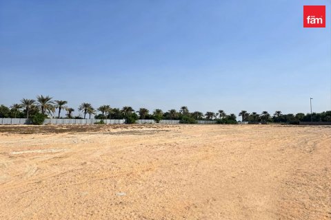 2947.1m² Land in Dubai, UAE No. 198045 7