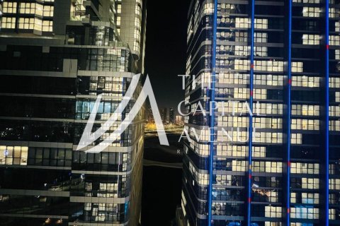 2 bedrooms Apartment in Al Reem Island, UAE No. 221800 11