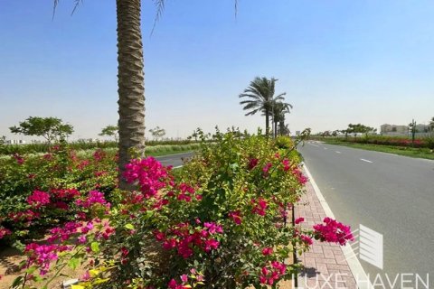 Land de 1717.41m² en Palm Jebel Ali, UAE No. 14605 3