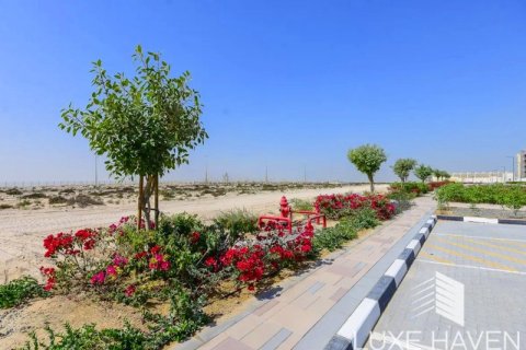 Land de 1717.41m² en Palm Jebel Ali, UAE No. 14605 9