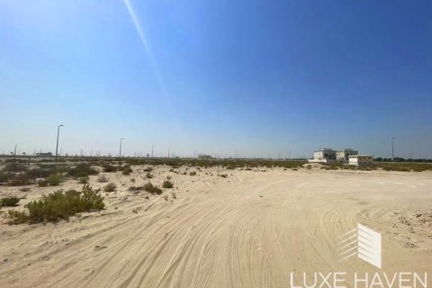 Land de 1717.41m² en Palm Jebel Ali, UAE No. 14605 11