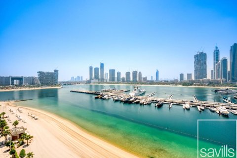 Appartement de 3 chambres à EMAAR Beachfront, UAE No. 214016 10