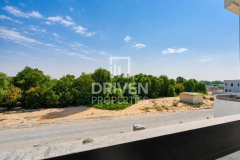 5 غرفة نوم فيلا في Al Aweer, الإمارات العربية المتحدة رقم 212592 31