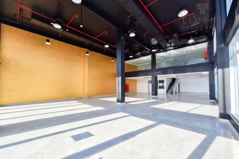 Commercial property de 529.5m² à Phase 2, UAE No. 47587 4