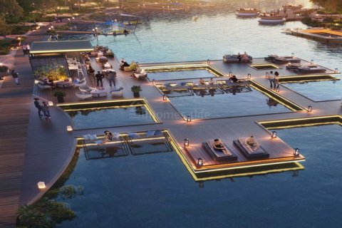 4 bedrooms Townhouse in The World Islands, UAE No. 160419 12