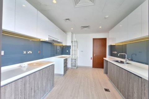 2 غرف نوم شقة في Tourist Club Area, الإمارات العربية المتحدة رقم 36670 10