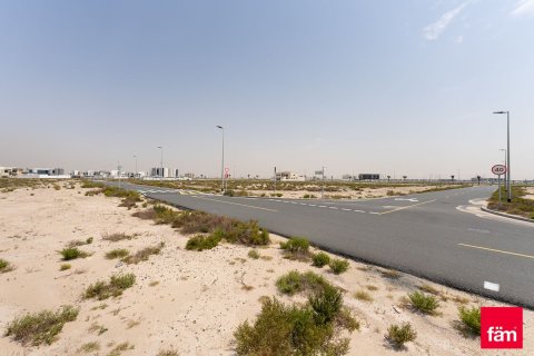929.6m² Land in Jebel Ali, UAE No. 215726 14