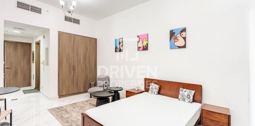استوديو شقة في District 10, الإمارات العربية المتحدة رقم 214628