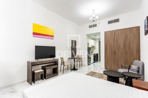 استوديو شقة في District 10, الإمارات العربية المتحدة رقم 214628 5