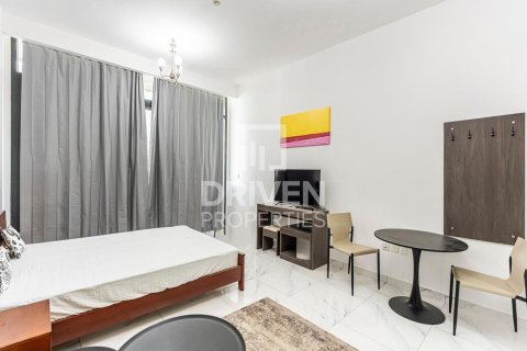 استوديو شقة في District 10, الإمارات العربية المتحدة رقم 214628 4