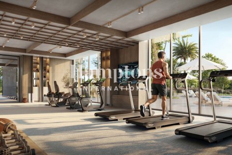 Villa de 4 dormitorios en The Valley, UAE No. 215657 3