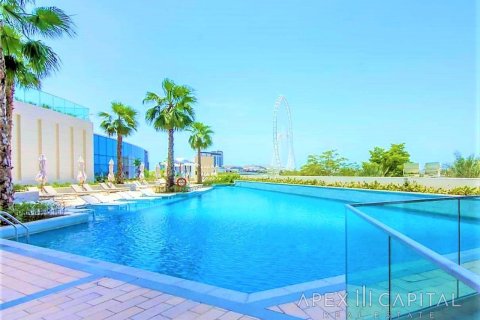 3 bedrooms Apartment in The Address Jumeirah Resort and Spa, UAE No. 5428 19