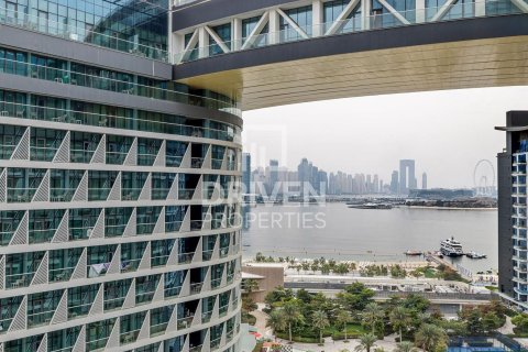 Apartment de 1 dormitorio en Seven Palm, UAE No. 215248 8