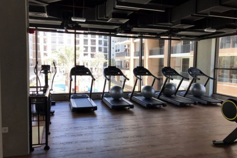 2 bedrooms Apartment in Dubai, UAE No. 217081 11