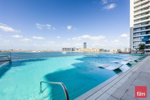 2 bedrooms Apartment in Dubai Harbour, UAE No. 159691 3