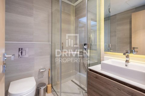 Apartment de 2 dormitorios en Downtown Dubai (Downtown Burj Dubai), UAE No. 225241 20