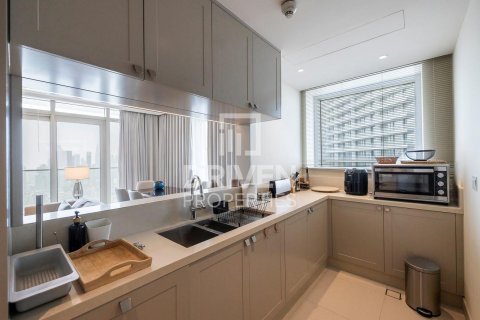 2 غرف نوم شقة في The Address Residence Fountain Views, الإمارات العربية المتحدة رقم 202662 11