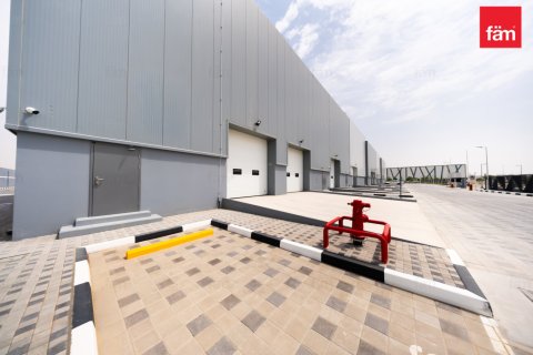 Warehouse de 1351m² à Dubai, UAE No. 159605 5