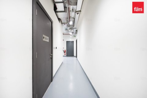 Warehouse de 1351m² à Dubai, UAE No. 159605 3
