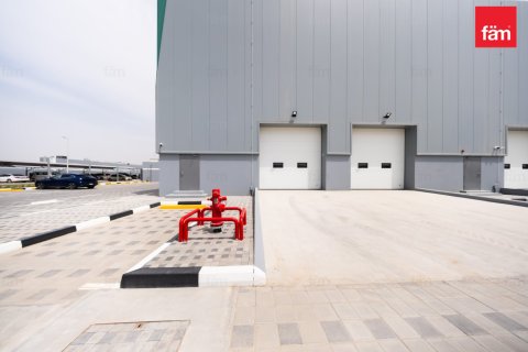 Warehouse de 1351m² à Dubai, UAE No. 159605 7