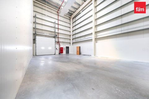 Warehouse de 1351m² à Dubai, UAE No. 159605 14