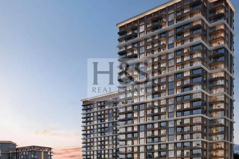 1 bedroom Apartment in Mina Rashid, UAE No. 112819 9