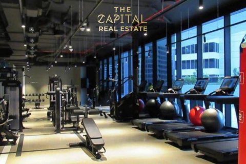 Studio Apartment in Dubai, UAE No. 7652 11