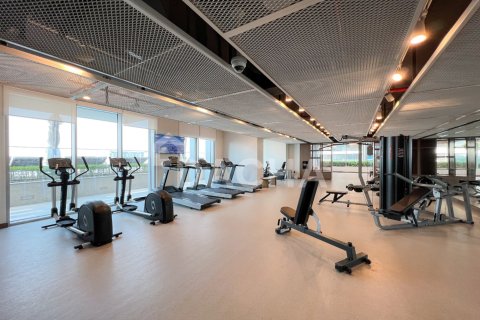 Apartment de 1 dormitorio en EMAAR Beachfront, UAE No. 162171 7