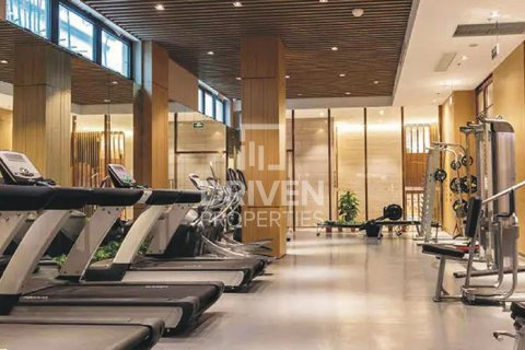 2 bedrooms Apartment in District 13, UAE No. 212272 13