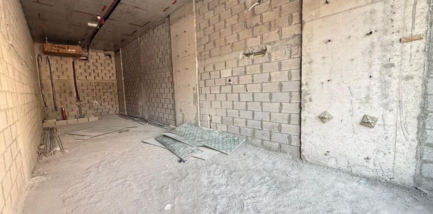 53.5m² Shop in Dubai, UAE No. 167114