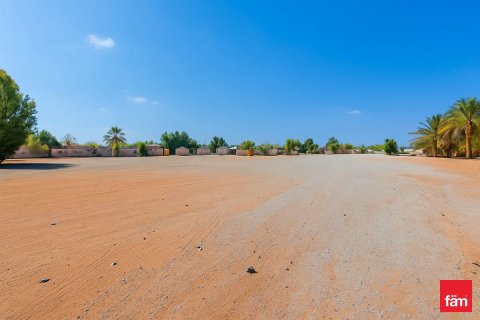 930.3m² Land in Al Wasl, UAE No. 135764 9