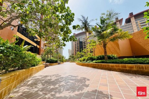 1 bedroom Apartment in Palm Jumeirah, UAE No. 161173 24