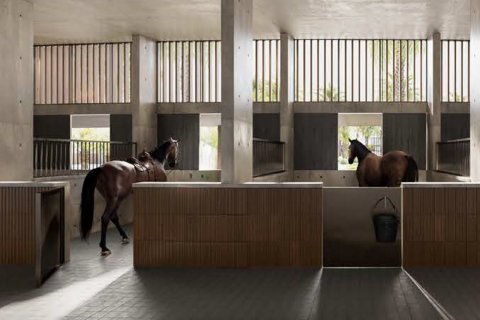 Villa de 5 dormitorios en Dubai Investment Park, UAE No. 215307 17
