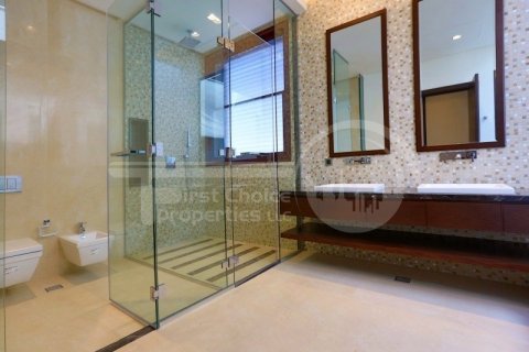 6 bedrooms Villa on the Saadiyat Island, UAE No. 12672 11