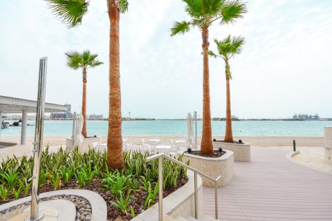 2 غرف نوم شقة في نخلة جميرا, الإمارات العربية المتحدة رقم 220299 22
